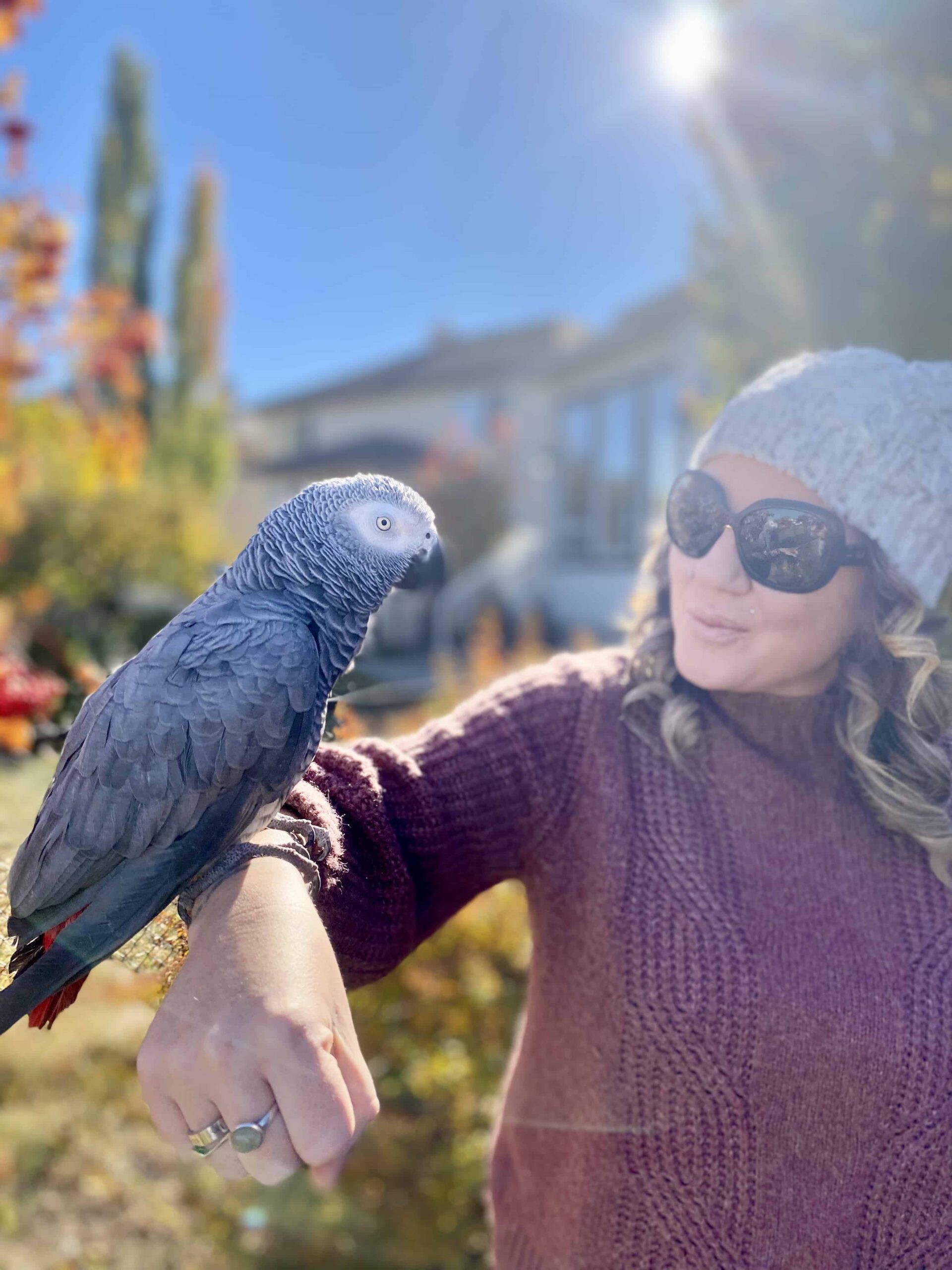 Emily Vincent, Co-Founder of Squawk Global and audience strategist , pictured outdoors with Gizmo the Grey Bird, an African Grey parrot with over 3 million social media followers.