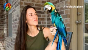 Kelsey from the @noplucksgiven social media account pictured with Louie the macaw. This collaboration highlights Squawk Global’s strategic partnerships with top avian advocates to amplify welfare-centered storytelling.