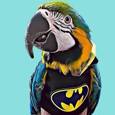 Kyle Kaplanis, Founder and CEO of Squawk Global, pictured with Gizmo the Grey Bird and a Jenday Conure. Kyle leverages nearly a decade of social media expertise and a network reach of over 1 billion followers to lead parrot advocacy.